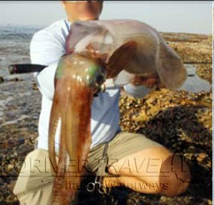 Pesca dalla costa nel mare in Oman, nel Dhofar.